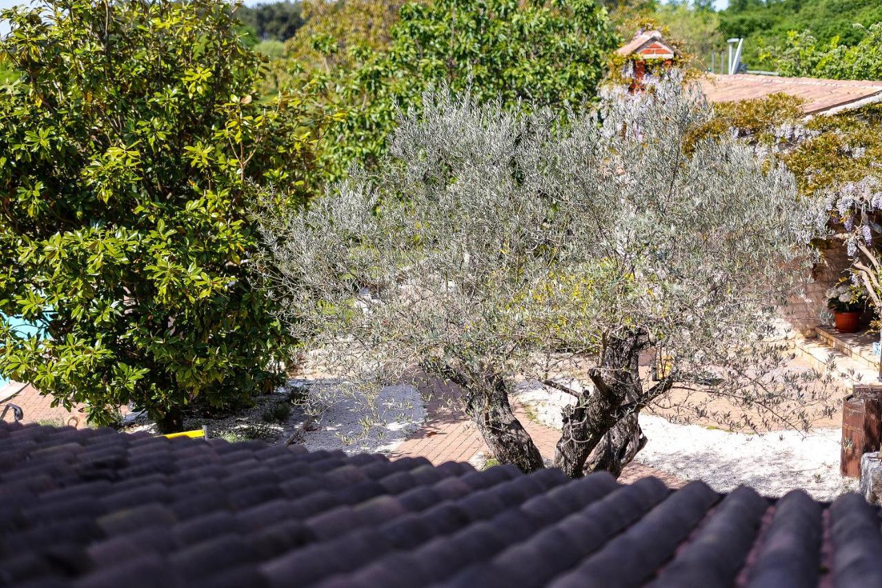 Casa Rustica Dva Baladura Apartments Kanfanar Εξωτερικό φωτογραφία